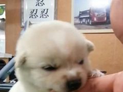 -乐汤汇温泉生活馆