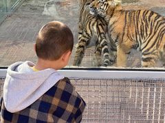 -西霞口神雕山野生动物世界