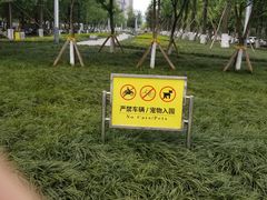 -龙头寺公园