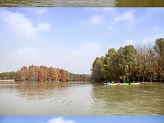 -上海海湾国家森林公园