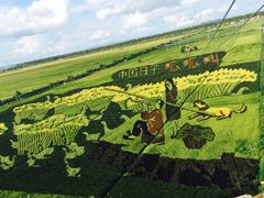 iphone_upload_pic-稻梦空间