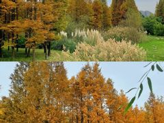 -贵阳市花溪国家城市湿地公园