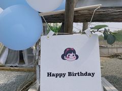 -安德鲁户外烧烤帐篷营地(马泉营店)