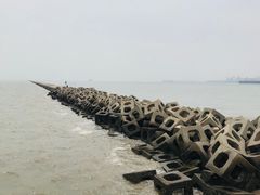 -东疆建设开发纪念公园