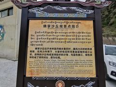 -佛掌沙丘