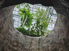 -南山植物园