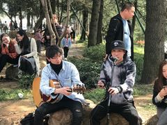 -武汉大学-樱园
