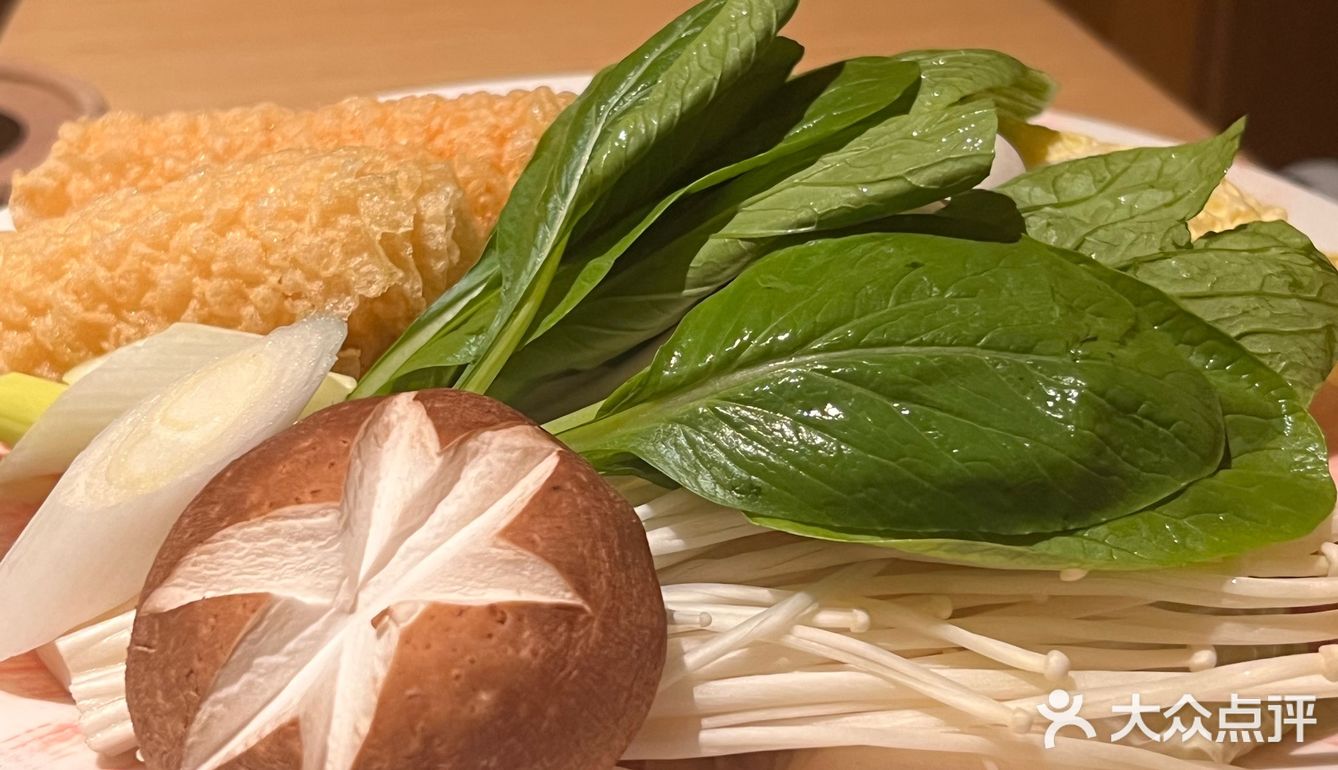  被胖鼓鼓的河豚鱼吸引