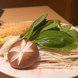  被胖鼓鼓的河豚鱼吸引