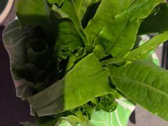 -故里和山·成都火锅(欢乐港湾店)