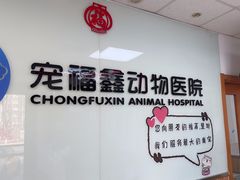 -宠福鑫动物医院(城北分院)
