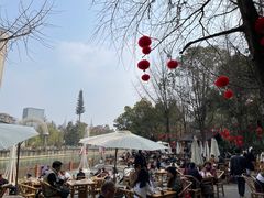 -成都市活水公园