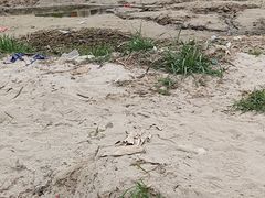 -洨河生态公园