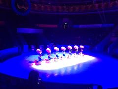 内景-武汉杂技厅