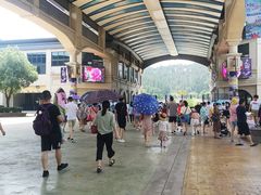 -南京银杏湖乐园