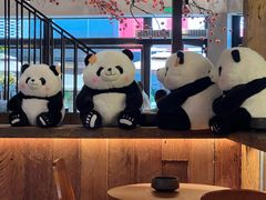 -熊猫邮局(少城店)