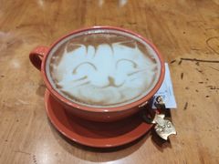 -猫色咖啡·猫咖