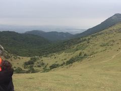 -大姆山草场