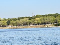 -丁香湖公园