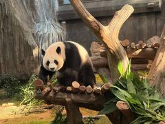 -香港海洋公园