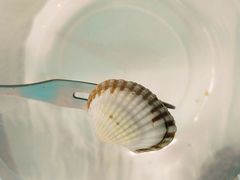 -铭聚章鱼土笋冻(松柏店)