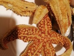 -岷山饭店-芝芝自助餐厅