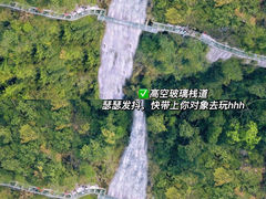 -九龙江国家森林公园