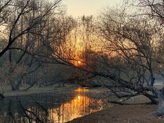 -上海共青森林公园