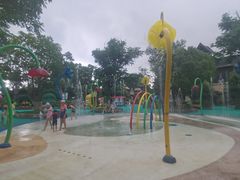 -苏州乐园森林水世界