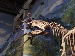 -自贡恐龙博物馆