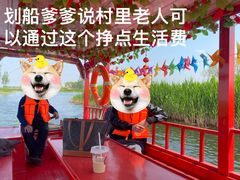-白洋淀景区