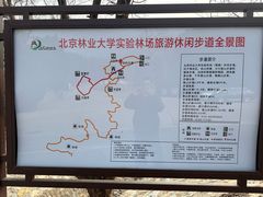 -北京鹫峰国家森林公园