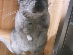 -龙猫仔乐园(惠福东路店)