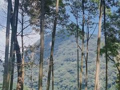 -广州市石门国家森林公园