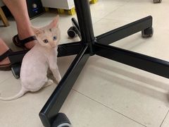 -方快-照相馆(莘庄沁春路店)