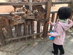 -北京鹿世界主题园