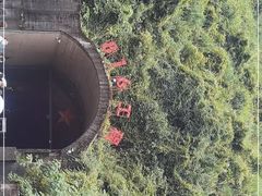 -816工程景区