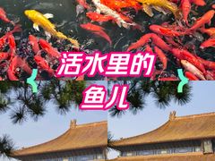 -北京市劳动人民文化宫(太庙)