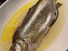 鸡汁长江白鱼-南京大牌档(济南万象城店)