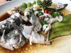 鲜花椒蒸鱼-猪肉婆私房菜(容桂总店)