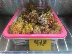 -菌海森林·非遗野生菌火锅(西山区滇池路摩根道店)
