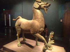 -广西壮族自治区博物馆