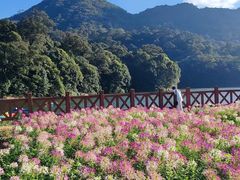 -广州市石门国家森林公园
