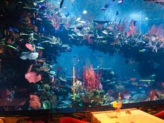 -迪拜帆船酒店海底餐厅