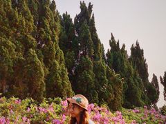 -南沙蒲洲花园