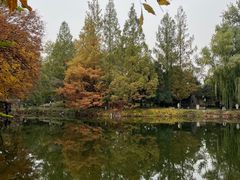 -颐和园