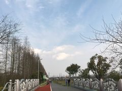 -上海长兴岛郊野公园