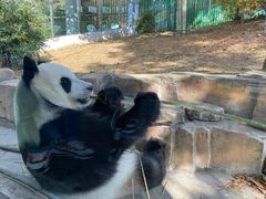 -大连森林动物园