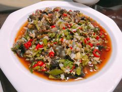 拌野生活海参-香满居张记小厨私房菜(青岛站店)