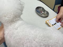 -艾贝尔宠物医院·宠保定点·超声绝育·免疫点(樱花路店)